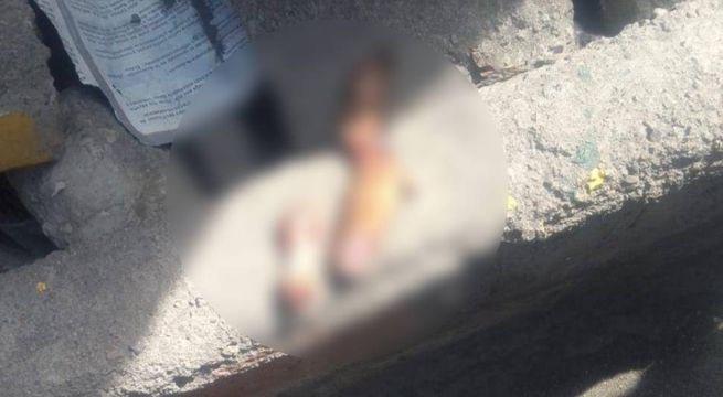 Barristas de Alianza Lima pierden sus dedos al intentar detonar pirotécnicos