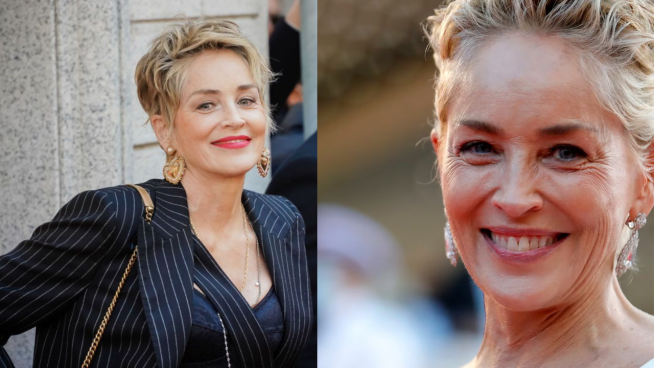 La dura confesión de Sharon Stone sobre su salud mental: 