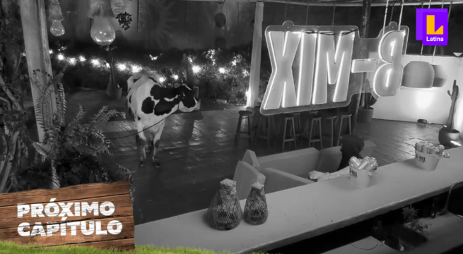 Tierra Brava Capítulo 132 COMPLETO: Fabio Agostini en problemas con la vaca