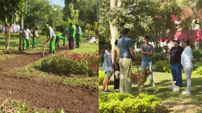 Surquillo: retiran cerco colocado por vecino que intentaba apropiarse de parque | VIDEO