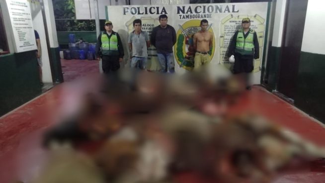 Delincuentes intentaron vender carne robada valorizada en más de 20 mil soles