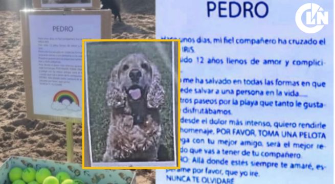 La emotiva historia de un hombre dejó una caja pelotas en una playa en memoria de su perrito fallecido