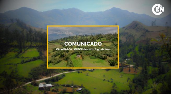 SERFOR emite comunicado ante supuesto avistamiento de león en Cajamarca