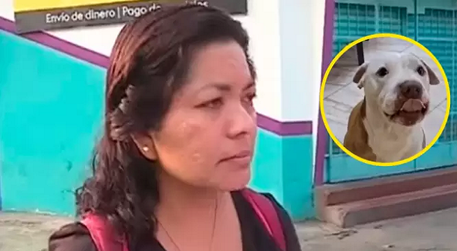 Pagaron S/500 para que su perrito viaje seguro, pero lo hallaron muerto en bodega de bus