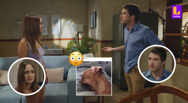 Pituca Sin Lucas: Estos son los mejores memes que dejó la TENSA discusión entre Gracia y 'Pipo'