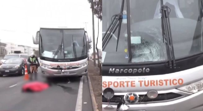 Bus atropella y mata a una persona en plena Panamericana Sur