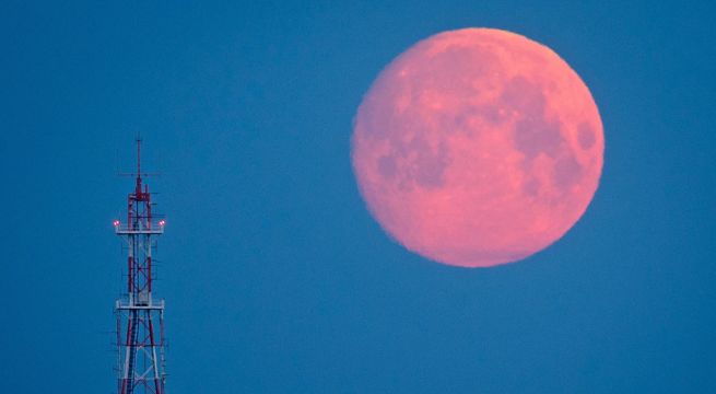Luna de Fresa 2024: qué es, por qué se llama así y cuándo iniciará en el Perú