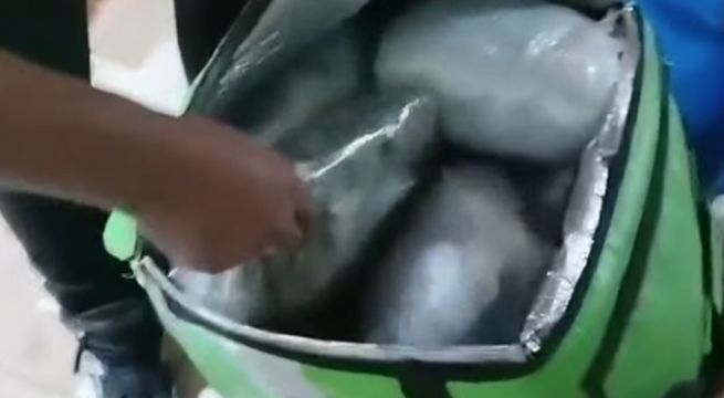 Callao: incautan 50 kilos de droga camuflados en cajas de delivery | VIDEO