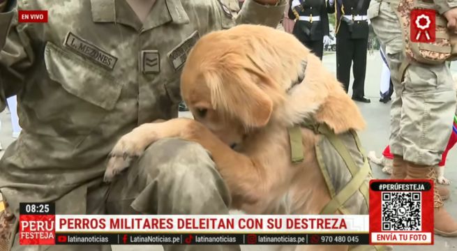 Perrito sorprende al rezar junto a su cuidador durante el Desfile Militar [VIDEO]