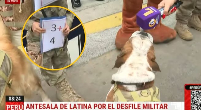 Perritos de la Marina de Guerra sorprenden condestreza para sumar y restar en Desfile Cívico Militar