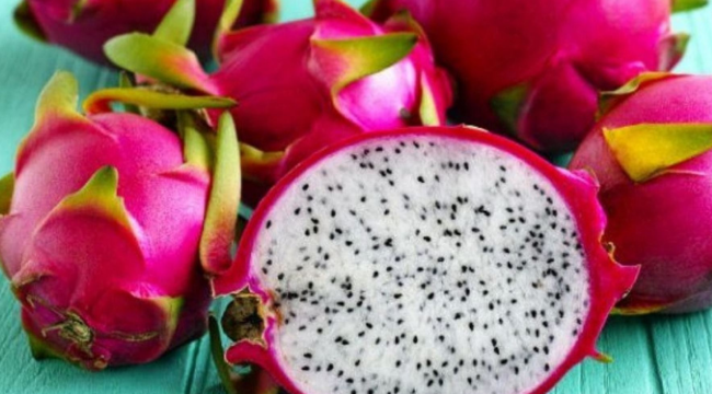 Familia emprende negocio con cerveza artesanal de Pitahaya