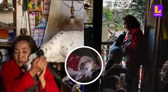 Fallece señora de tercera edad dejando a perritos y gatitos huérfanos