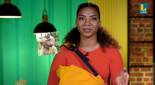 Pituca sin Lucas Capítulo 105: Felipe ¿LAMENTA? la ruptura de Micaela y Pato