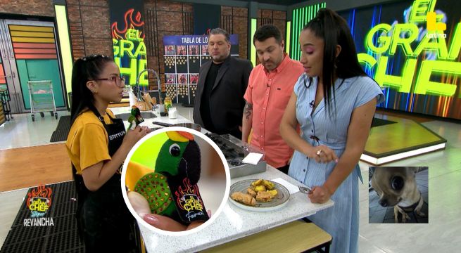 El Gran Chef Famosos: Diana Sánchez ENAMORADA de los ‘chefcitos’: “Estoy agradecida”