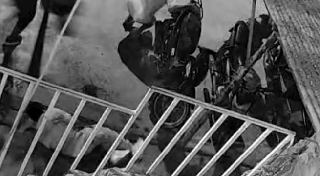 Joven salió a comprar su cena y murió por una bala perdida