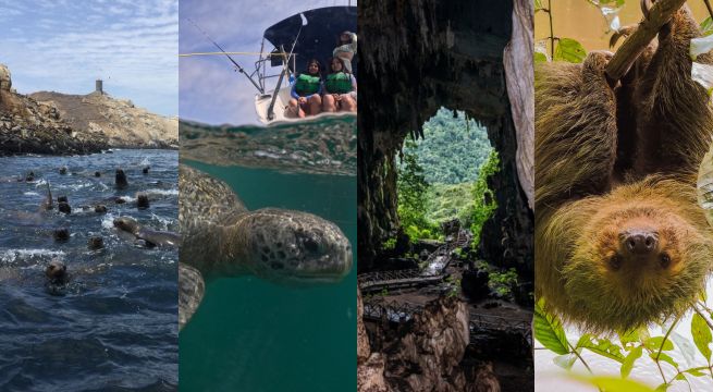 People's Choice Award 2025: Conoce cómo votar por las áreas naturales protegidas del Perú