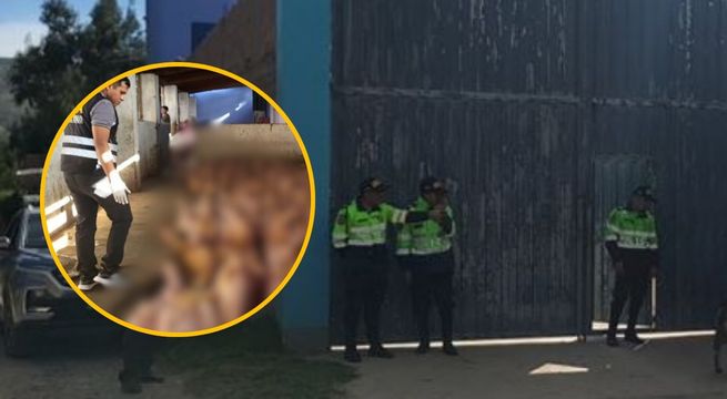 Huancayo: intervienen camal clandestino donde mataban cerdos sin salubridad 