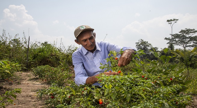 ¡Orgullo! Perú es reconocido por su liderazgo en desarrollo rural sostenible