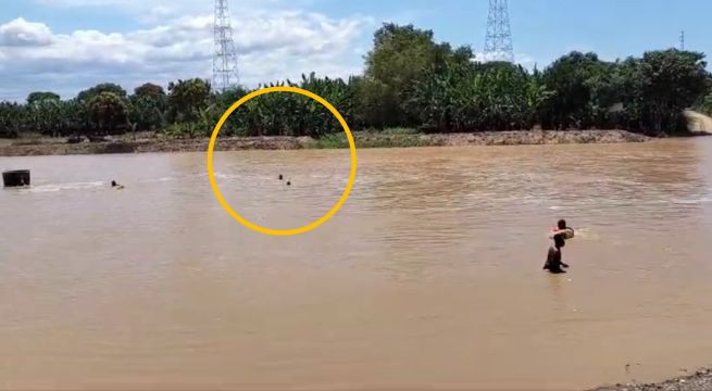 Agricultores se quedan atrapados en sus parcelas tras crecida de río Tumbes | VIDEO