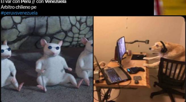 Mira los memes que dejó el Perú 0-1 Venezuela por las Eliminatorias