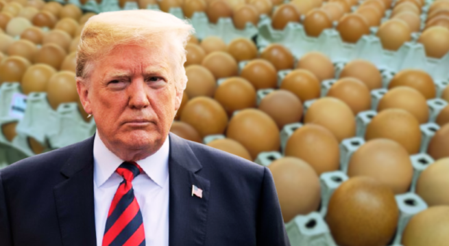 Estados Unidos importará huevos de estos dos países frente a la escasez por gripe aviar