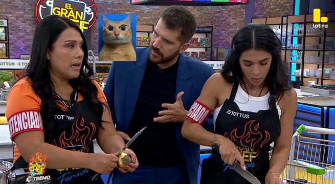 El Gran Chef Famosos: ¿Vania Bludau y Tula Rodríguez se llevaban MAL? Descúbrelo AQUÍ