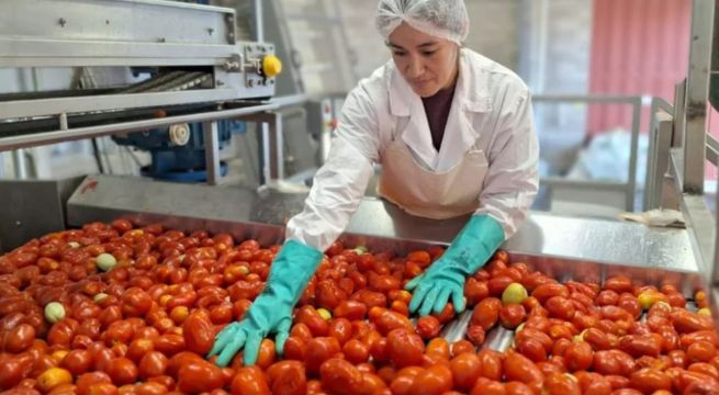 Retiro de tomates en EE. UU. por riesgo de salmonela: FDA alerta a consumidores