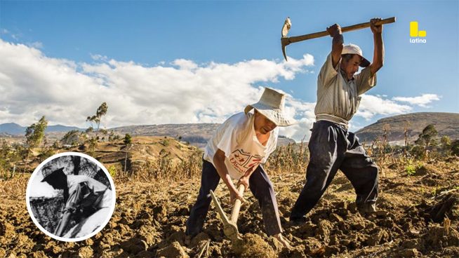 Día del Campesino: entre el HOMENAJE y la deuda histórica