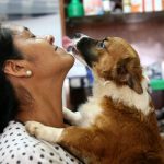 Desde julio, INEI incluirá por primera vez a las mascotas en su medición de hogares