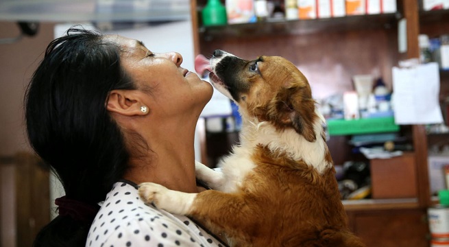 Desde julio, INEI incluirá por primera vez a las mascotas en su medición de hogares