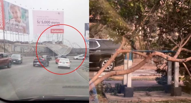 Fuertes vientos provocan caída de paneles publicitarios y árboles en distintos puntos de Lima | VIDEO