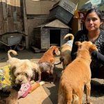 Adoptacan: conoce el albergue que transforma vidas perrunas en Pachacamac