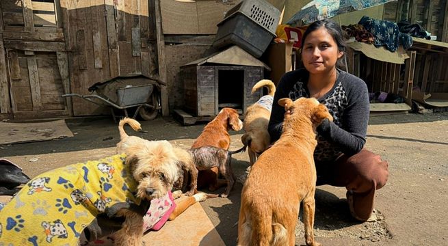 Adoptacan: conoce el albergue que transforma vidas perrunas en Pachacamac