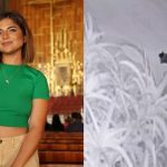 Así atacaron a balazos la casa de Susana Alvarado, cantante de Corazón Serrano | VIDEO