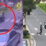 Mujer con su perrito es atropellada en Miraflores: chofer se dio a la fuga | VIDEO