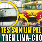 Cruces peligrosos en ruta del tren Lima - Chosica: “Los rieles están expuestos al paso peatonal”