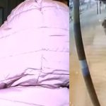Ventanilla: extorsionadores atacan con explosivo cevichería recién inaugurada