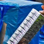Incautan 150 cajas de cigarrillos de contrabando ocultas entre desechos médicos