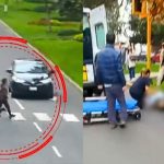Mujer termina en UCI tras ser atropellada cuando cruzaba la pista junto a su mascota | VIDEO