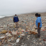 Por cuarto año: Perú encabeza la lista de las playas más contaminadas del Pacífico