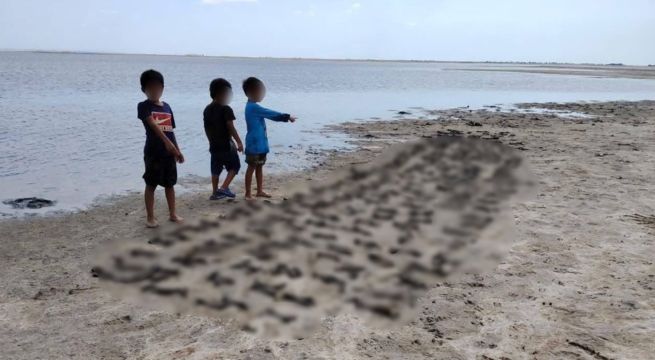 Piura: matan alrededor de 300 polluelos de flamenco en Sechura