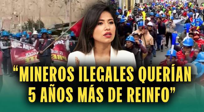 "Mineros ilegales querían 5 años más de REINFO": Congresista Diana Gonzales denuncia intento de ampliar registro