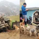 Puente Piedra: camión cisterna cae sobre casa y la destruye | VIDEO