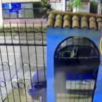 Gianluca Lapadula: familiares del futbolista sufren robo en su vivienda en La Victoria
