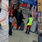 Capturan al primer 'burrier' en el nuevo aeropuerto Jorge Chávez