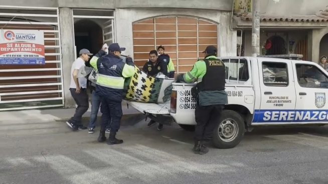 Arequipa: vigilante en estado de ebriedad asesina a un joven y deja herida a su hermana