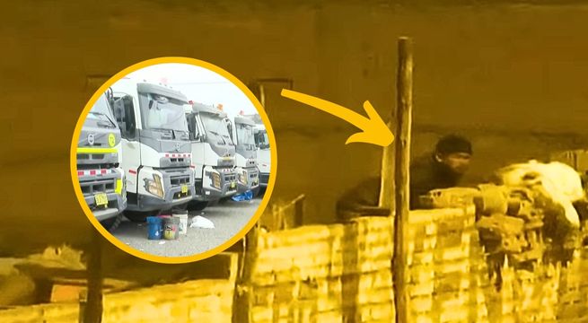 Delincuentes roban 70 mil dólares en autopartes y matan a mascota de carwash