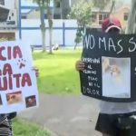 Los Olivos: 12 perros mueren y uno queda con secuelas tras envenenamiento en parque