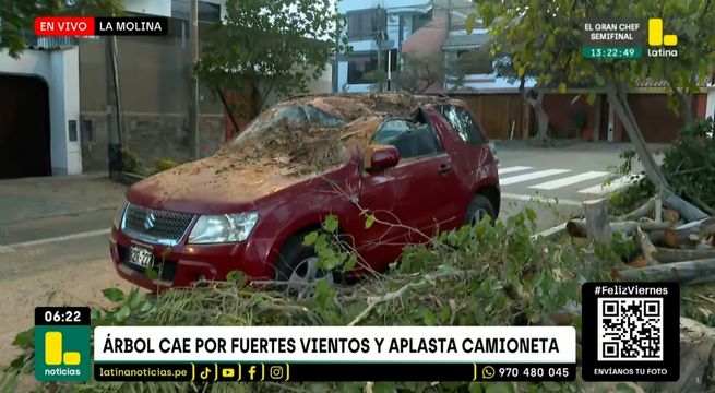Fuerte viento derriba árbol y aplasta un auto en La Molina | VIDEO
