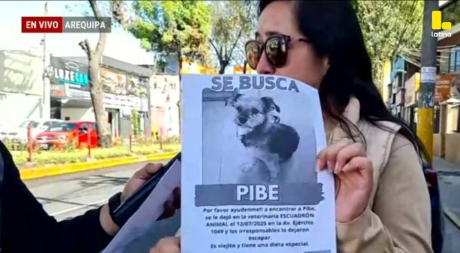 Veterinaria PIERDE mascota en Arequipa y CULPA al perro de abrir la puerta SOLO
